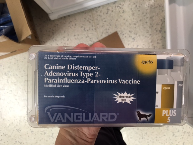 construction18 1 orig